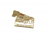 30 years service